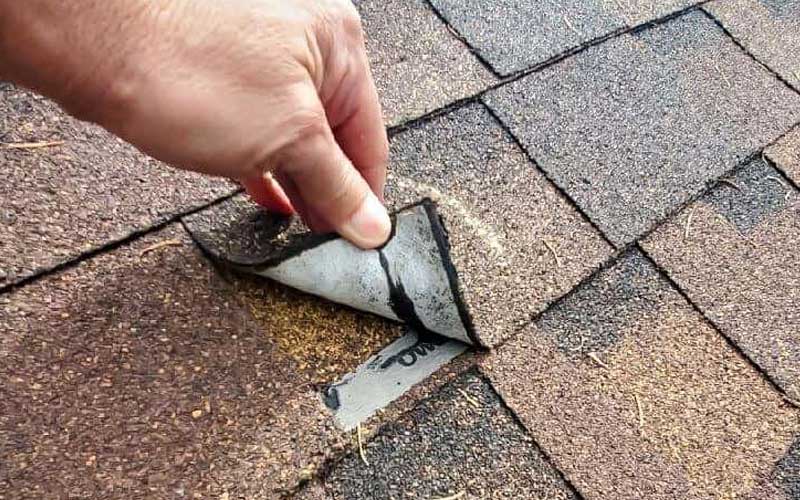 Hand lifting a damaged asphalt shingle on a roof