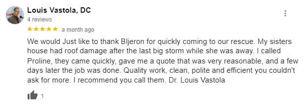 Google review for ProLine Roofing in Staten Island